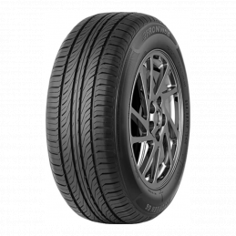 FRONWAY Ecogreen 66 205/55R16 91V