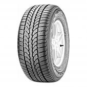 Шины Nokian Tyres WR AM